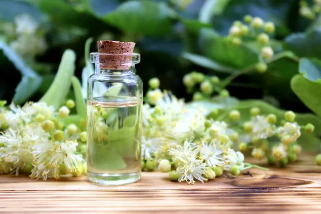 Essential Oil Wholesale